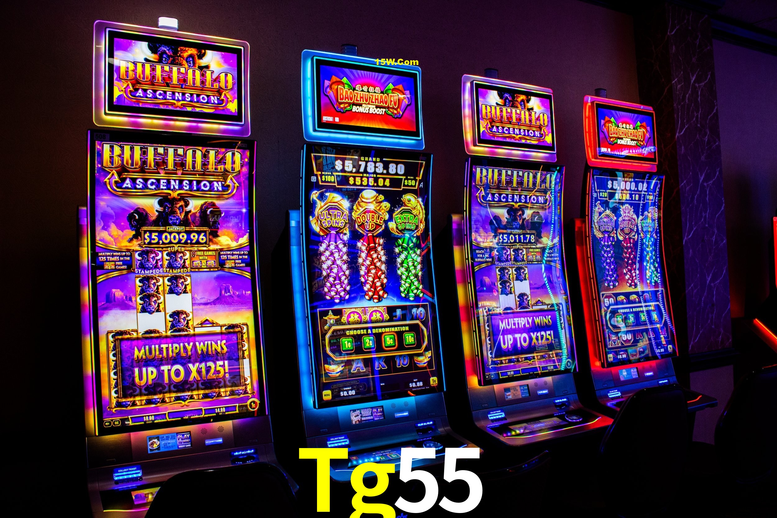 Secure Login Tg55