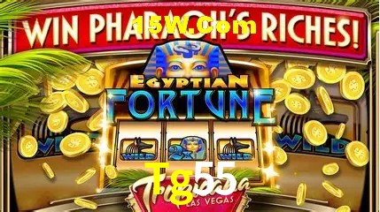 Estatísticas do Jogo Tg55